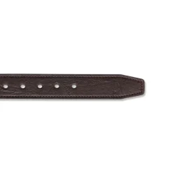Cintura da Uomo Marrone con Fibbia Gunmetal Carrera