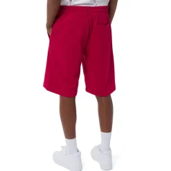 Pantaloncini corti Sportivi da Uomo rossi con stampa Chicago Bulls e Zach Lavine NBA