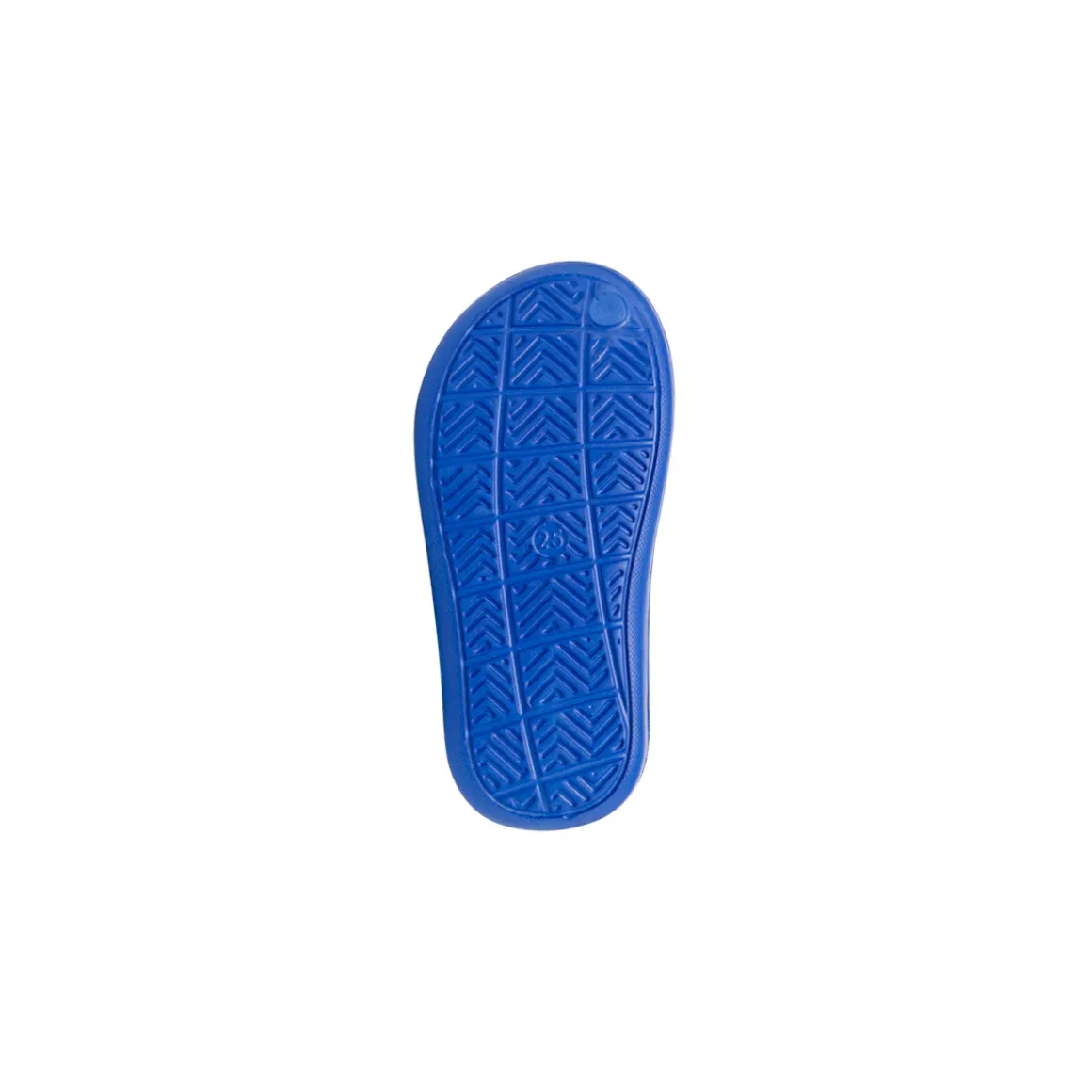 Sandali da Mare blu da Bambino in gomma con patch dinosauro Jog