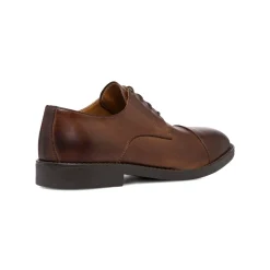 Stringate derby marroni in pelle da uomo Primopiano